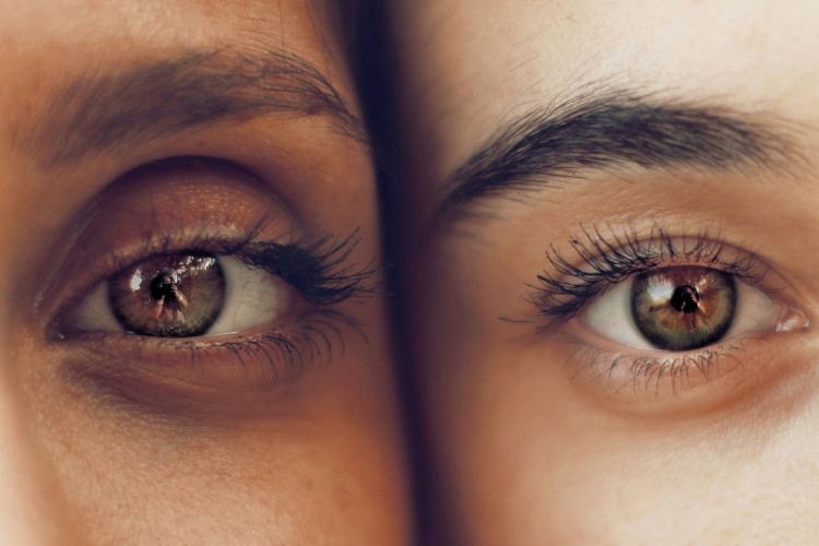 Dry Eye & Ocular Care