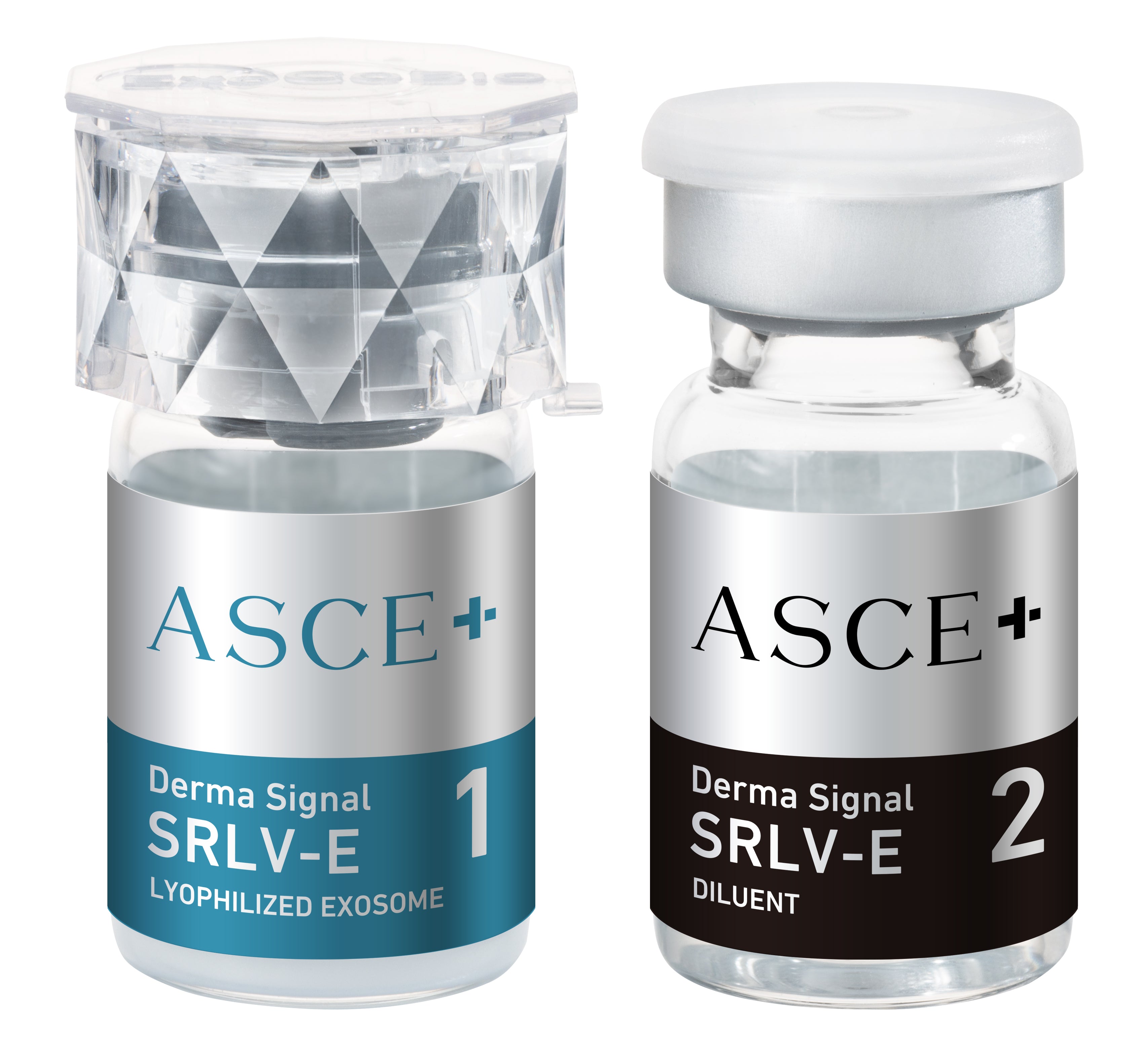 Exosome ASCE+SRLV